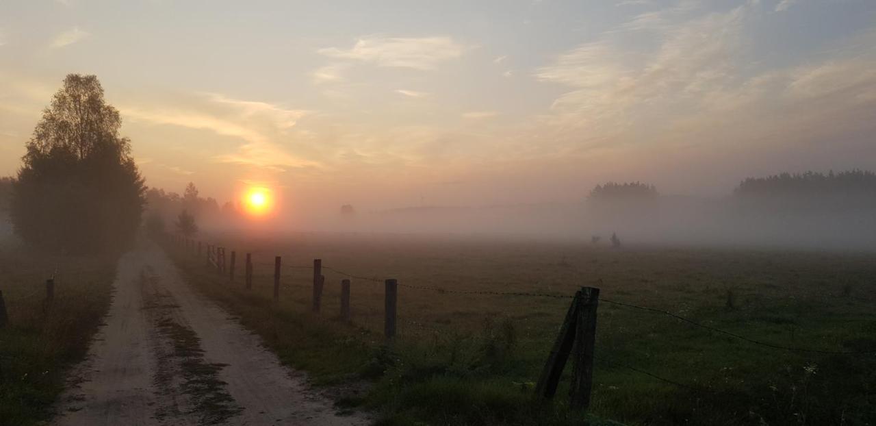 Zdalnie Z Lasu - Siedlisko W Puszczy Bialowieskiej Narewka Luaran gambar