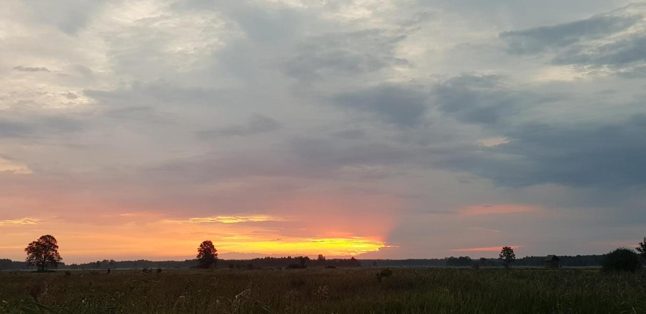 Zdalnie Z Lasu - Siedlisko W Puszczy Bialowieskiej Narewka Luaran gambar