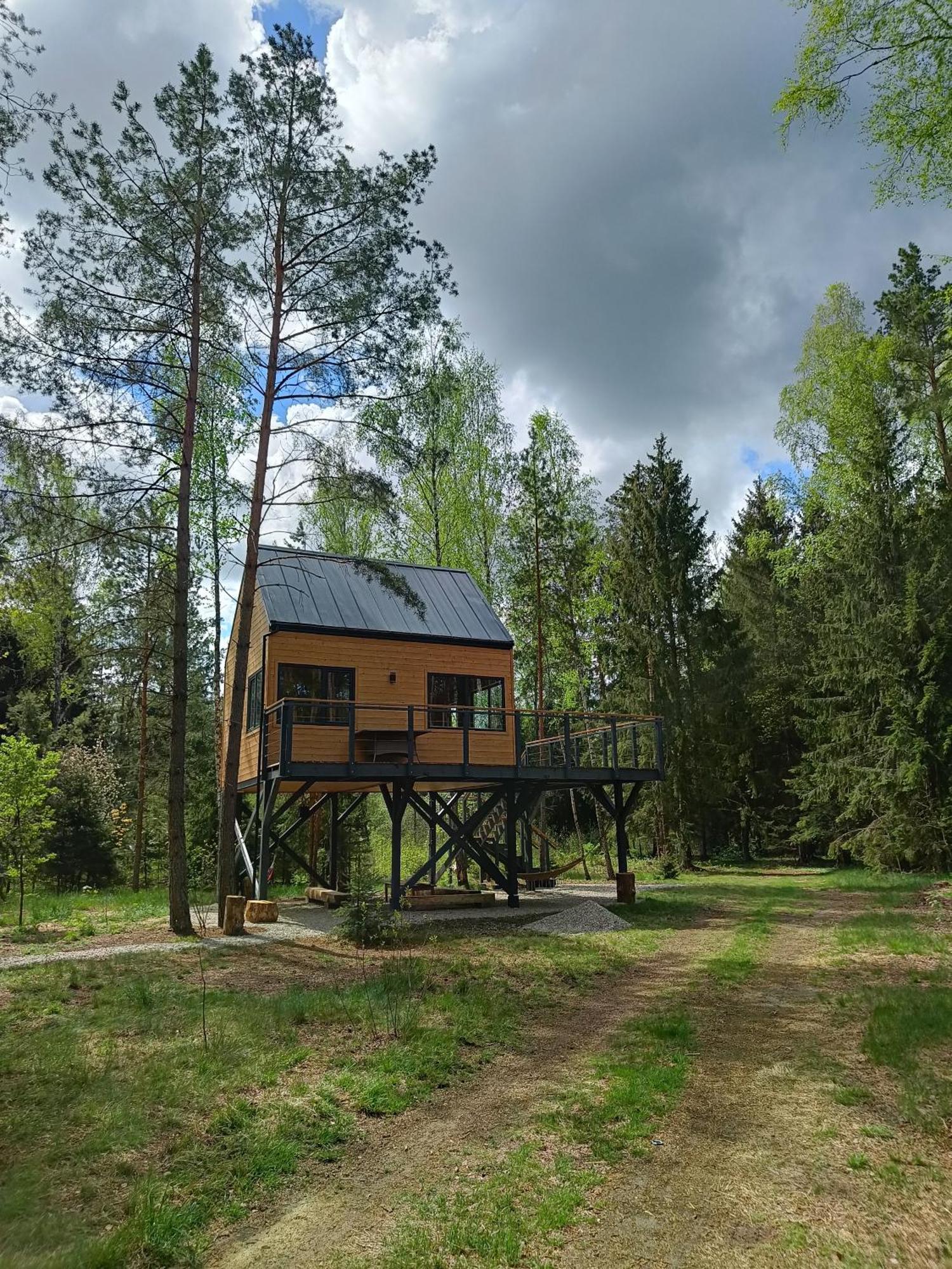 Zdalnie Z Lasu - Siedlisko W Puszczy Bialowieskiej Narewka Luaran gambar