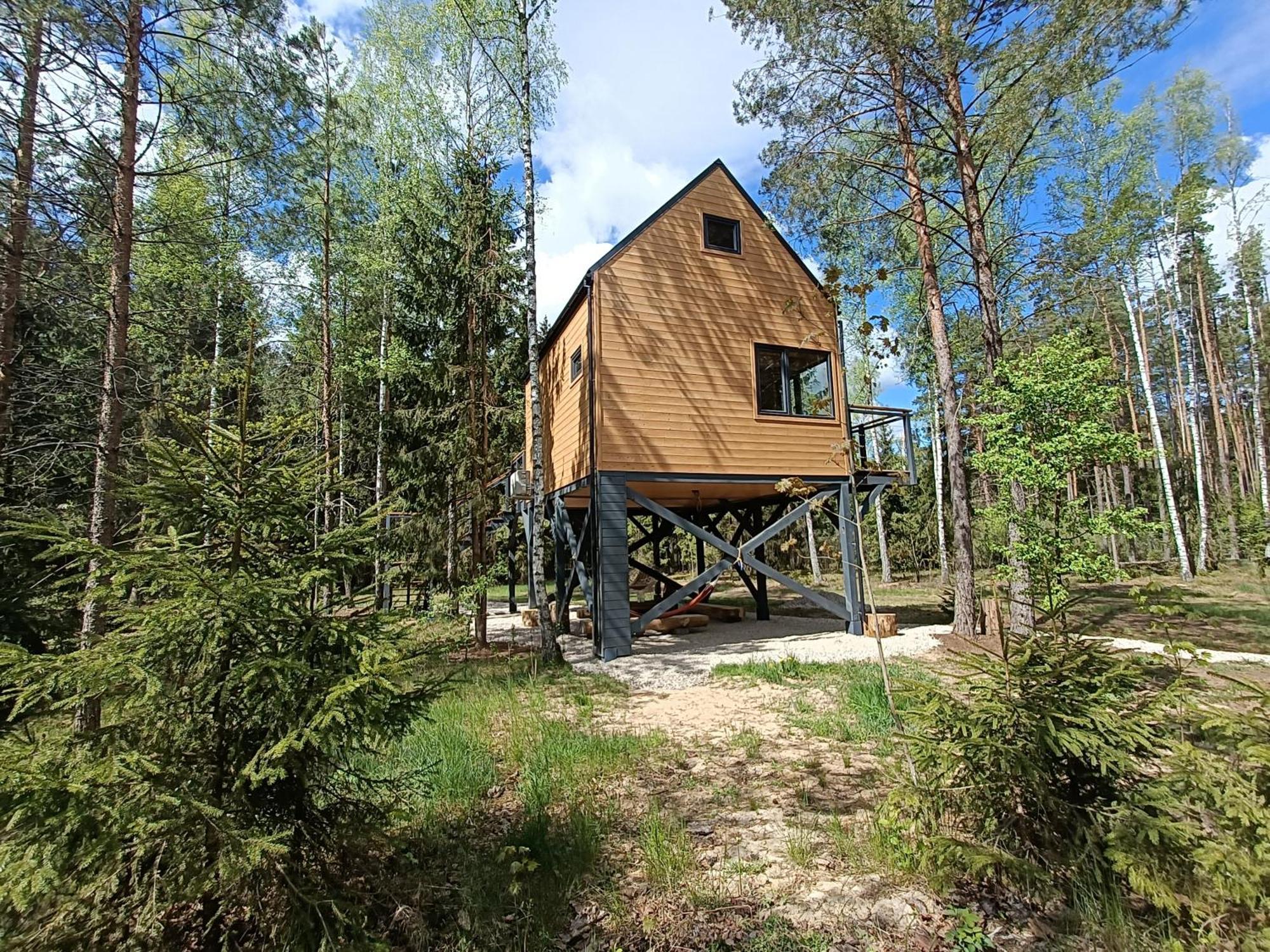 Zdalnie Z Lasu - Siedlisko W Puszczy Bialowieskiej Narewka Luaran gambar