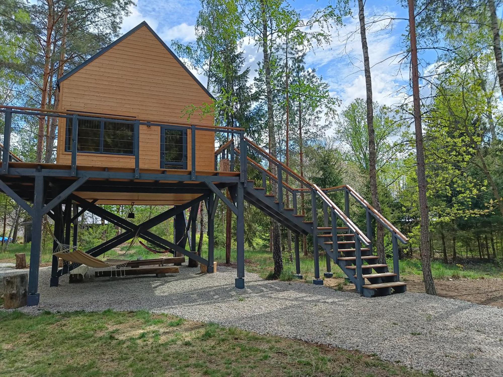 Zdalnie Z Lasu - Siedlisko W Puszczy Bialowieskiej Narewka Luaran gambar