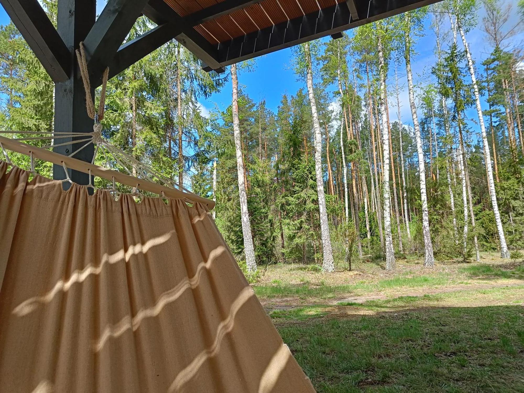 Zdalnie Z Lasu - Siedlisko W Puszczy Bialowieskiej Narewka Luaran gambar